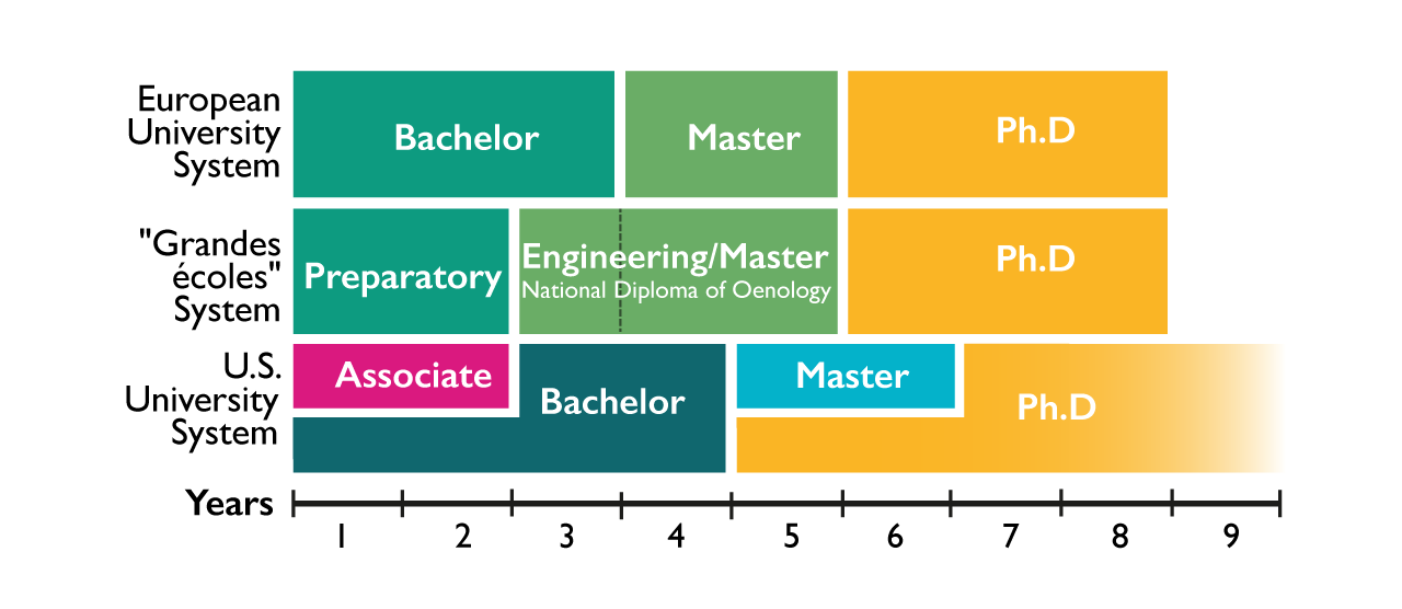 Bachelor studies. Bachelor Master PHD. Степень PH. D.. Associate Bachelor Master. Bachelor's Master's Doctorate.