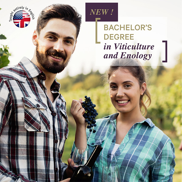Bachelor’s degree in Viticulture and Enology
