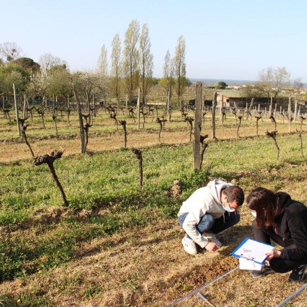 Opinion: what do former international students think of Bordeaux Sciences Agro?