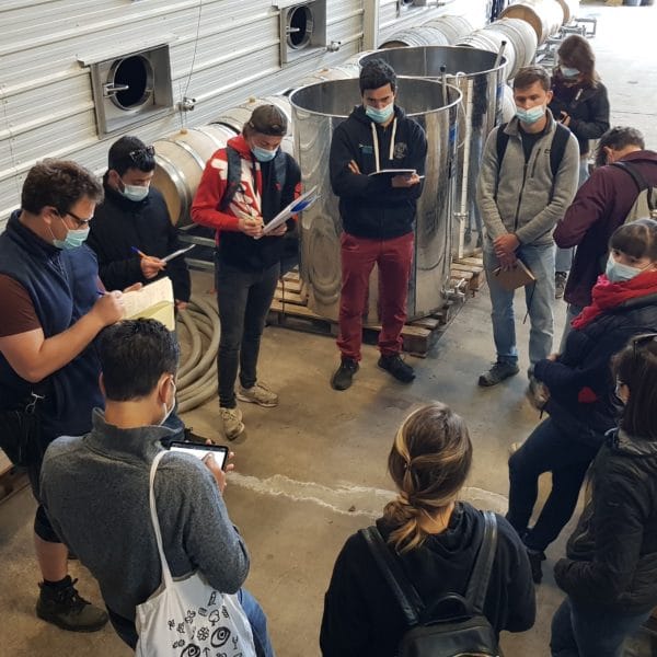 BSA students conduct management audits of wineries