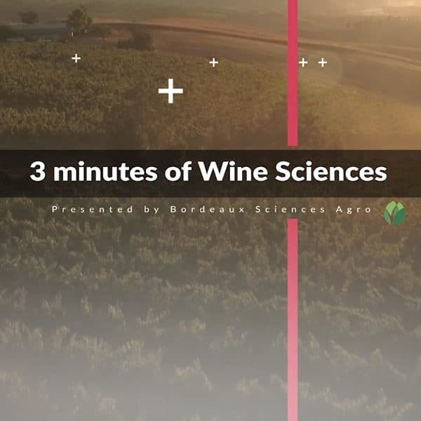 [Video] 3 minutes of Wine science