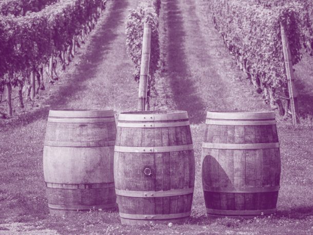 Specialization – Viticulture – Enology