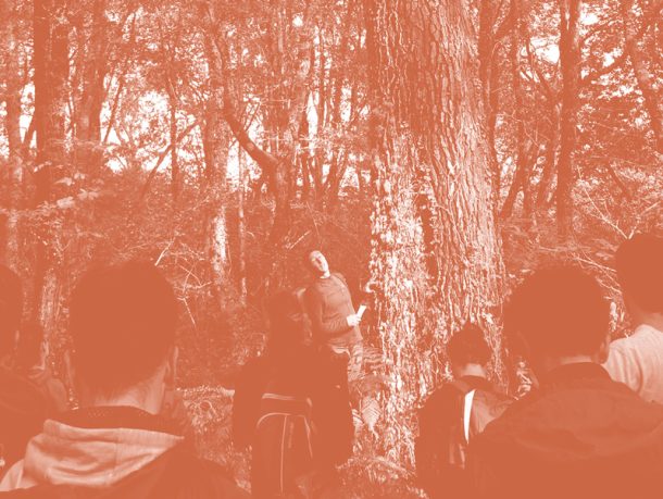 Specialization – Forestry