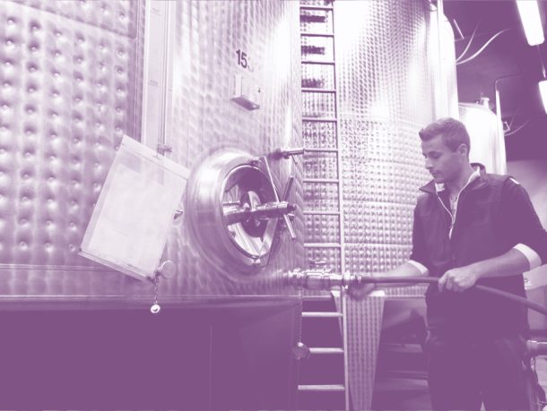 Bordeaux Winemaking Specificities