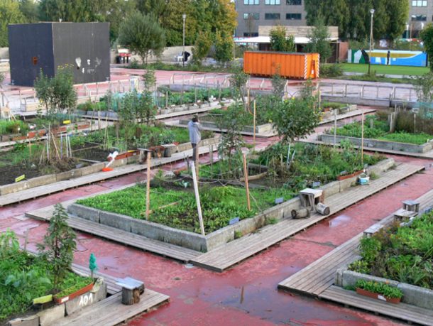 Sciences Action Development – Products and Territories