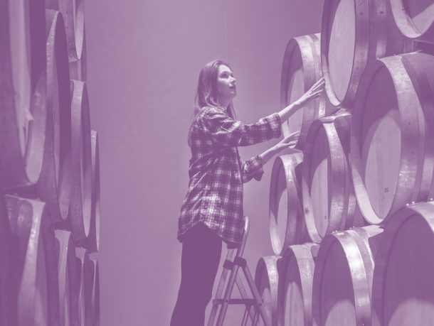 Bachelor’s degree in Viticulture and Enology