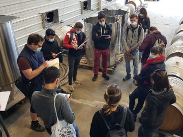 BSA students conduct management audits of wineries
