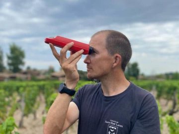 Professional opportunities following the Bachelor in Viticulture and Enology and the Master of Science in Vineyard and Winery Management degree programs 