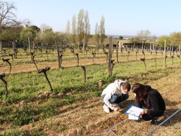Opinion: what do former international students think of Bordeaux Sciences Agro?