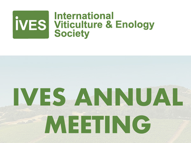 IVES ‘Science meeting‘ in California: a feedback