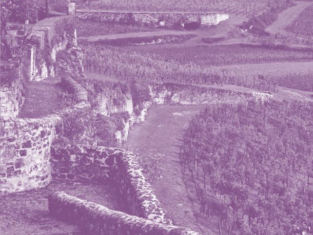 Terroir and vineyard management