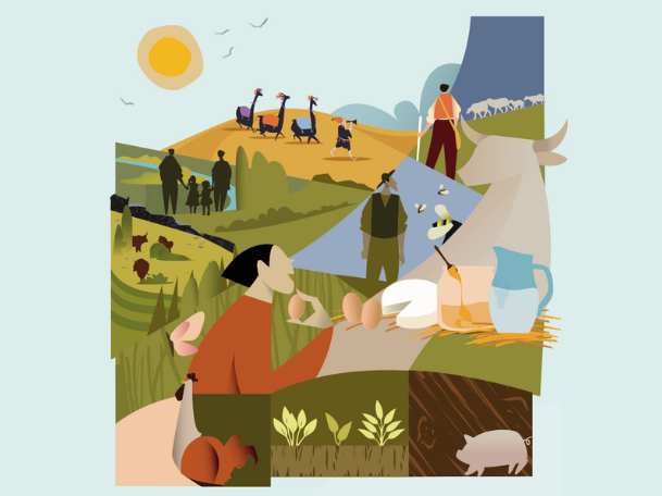 Environmental assessment of livestock systems: an updated international methodological guide