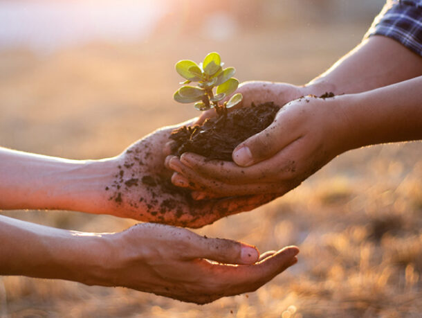 Watch the EU-GIFT Alliance presentation video !