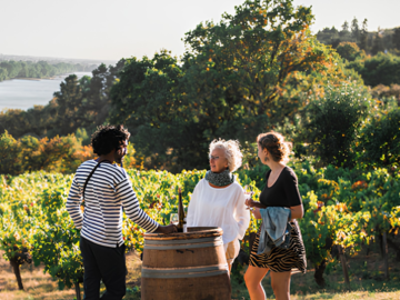 International Wine Tourism Conference October 2026 at Bordeaux Sciences Agro 